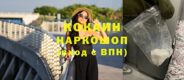 первитин Новодвинск