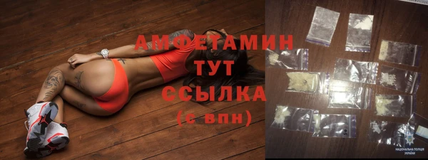первитин Новодвинск