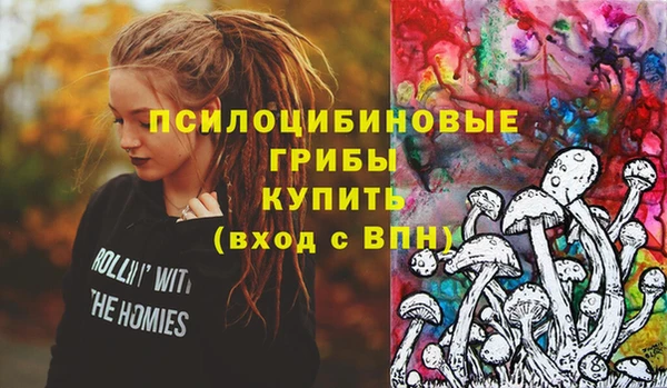 первитин Няндома