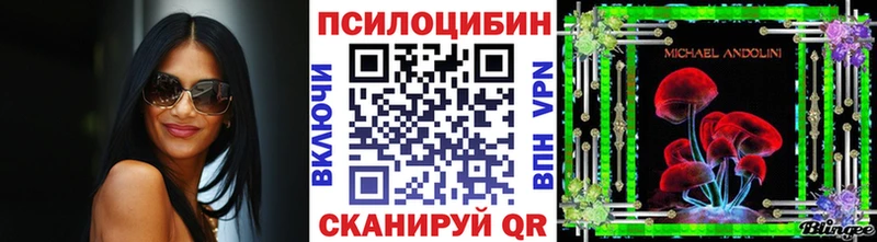 omg онион  что такое наркотик  Борзя  Галлюциногенные грибы Cubensis 
