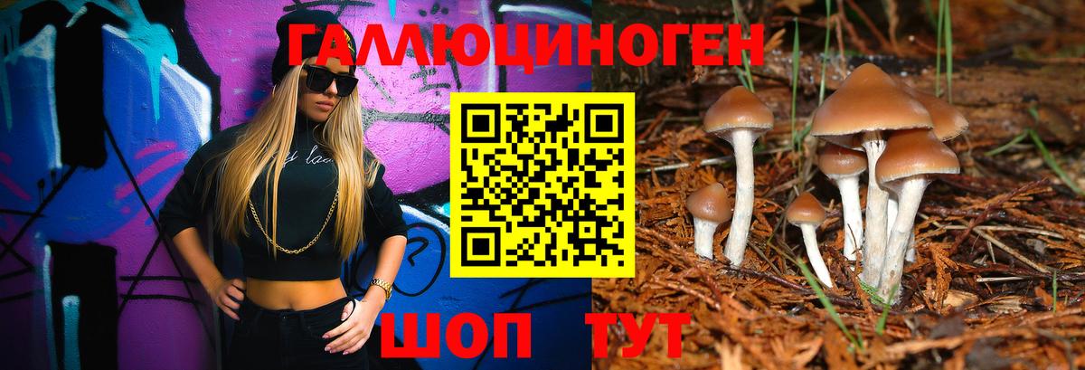 Галлюциногенные грибы прущие грибы Борзя